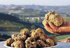 White Truffle Season