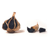 Black Garlic Bulb 30g by Nero Fermento - Sacla'