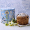 Buy panettone with custard