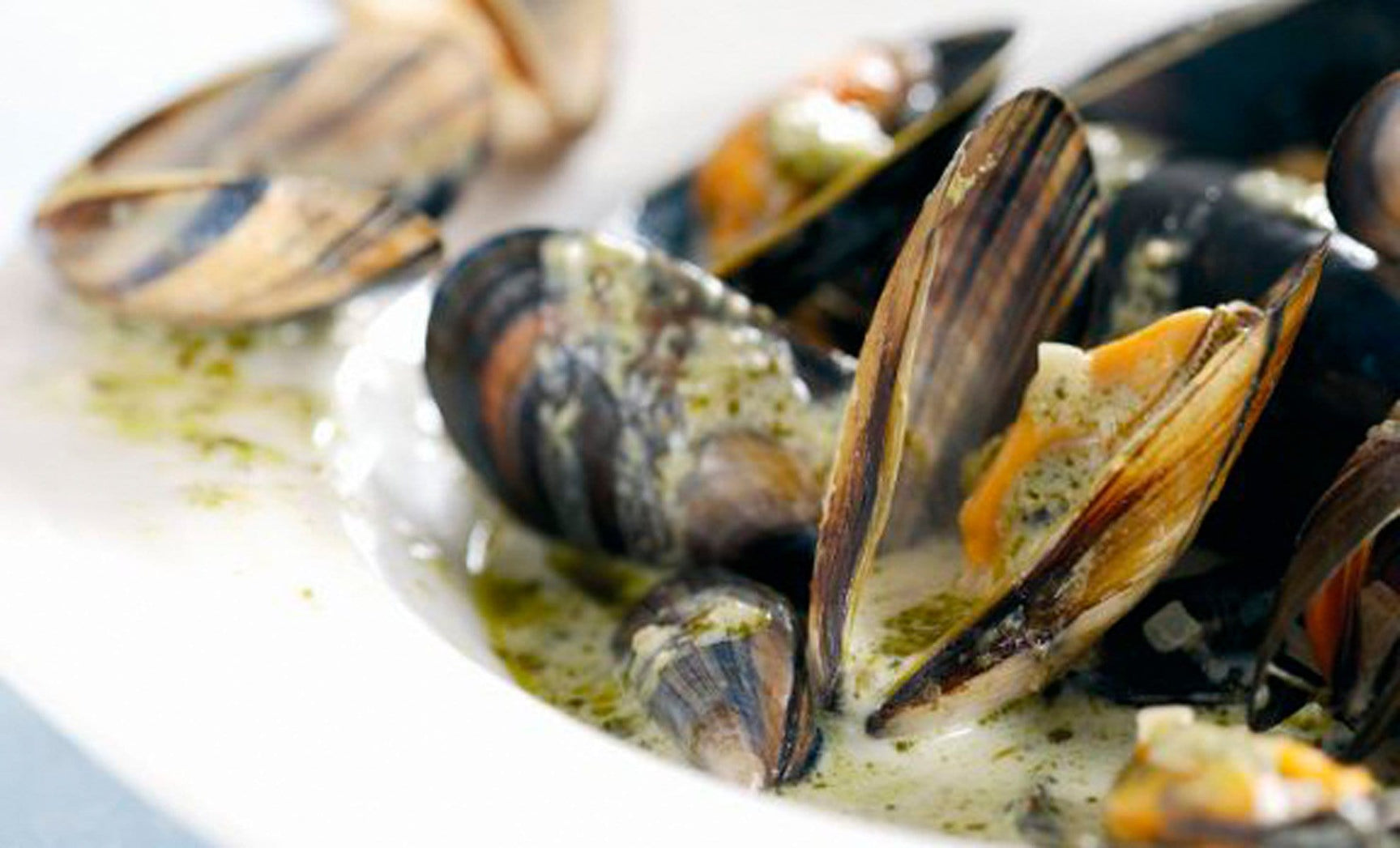 Coconut & Fresh Coriander Pesto Mussels