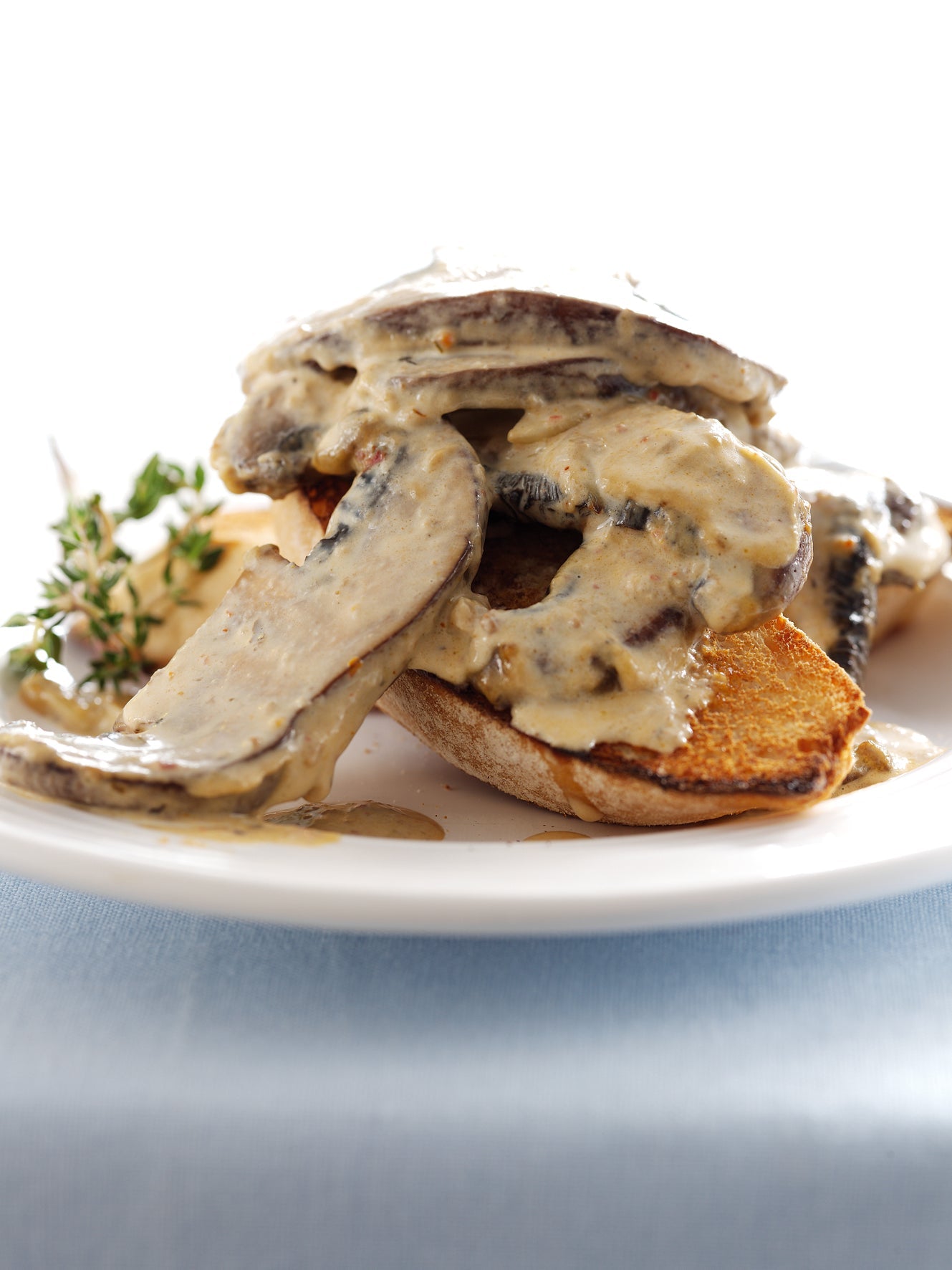 Creamy Pesto Mushrooms on Toast