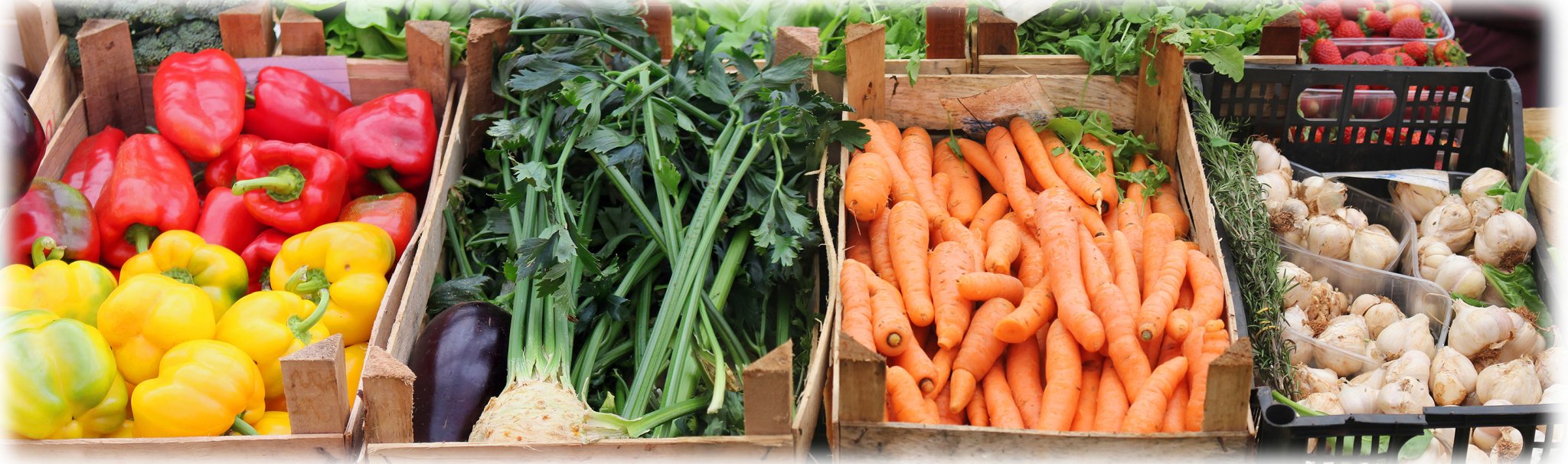 The meaning of "Healthy Eating"