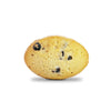 Dark Chocolate Chip Biscuits Nannini