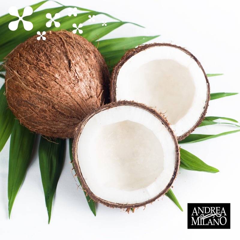 Coconuts for Organic Deto coconut vinegar by Andrea Milano.