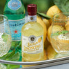 Bottle of Balsam Limoncino Limoncello Vinegar with decorative background